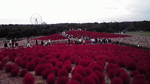 P10000254