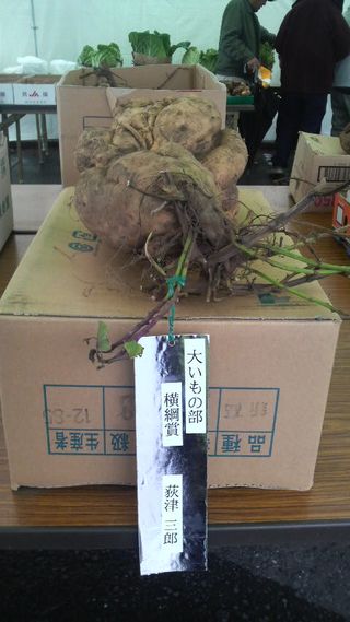 2010112309570000