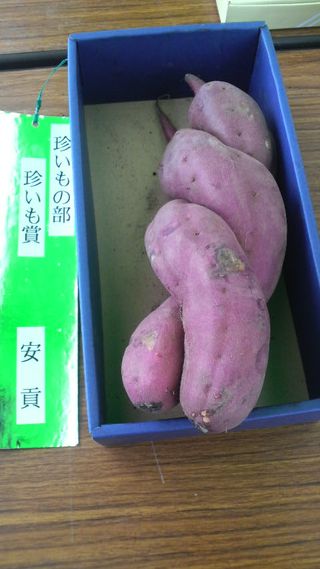2010112309580000