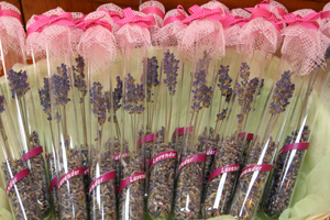 Lavender1