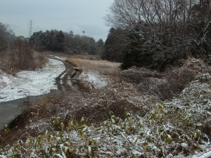 雪景色川