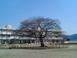 20110306085219