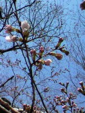 2011040719280000