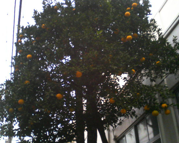 201012210711000
