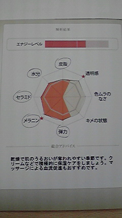 肌診断