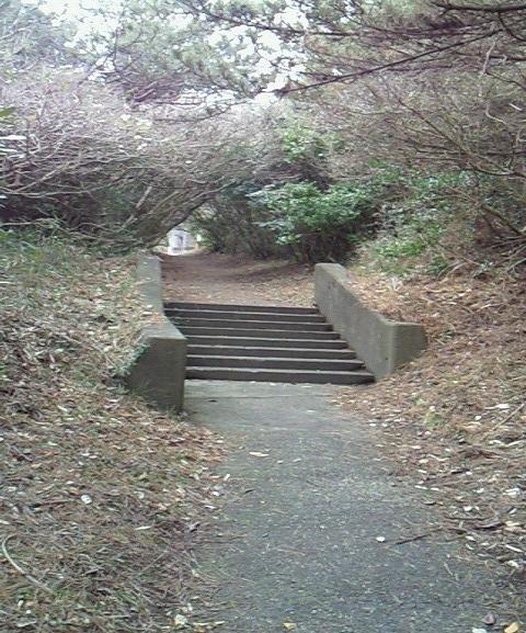 観濤所への道