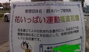 案内