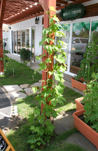201100705003