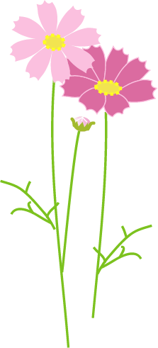 ｺｽﾓｽｲﾗｽﾄ