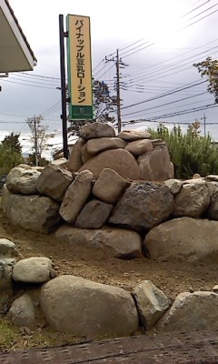 P2011_1001_101459