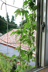 20110909043
