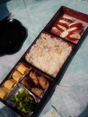 お花見弁当