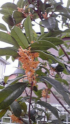 P1000092