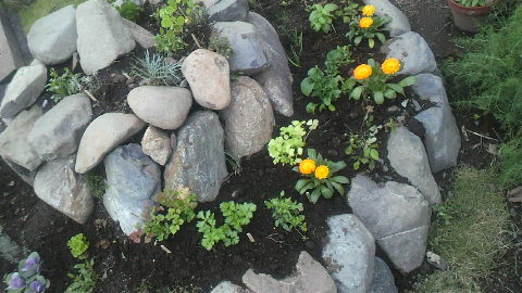 2011102412480000