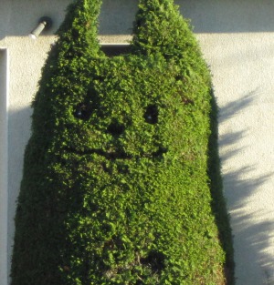 TOTORO