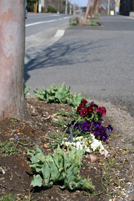 201200404034