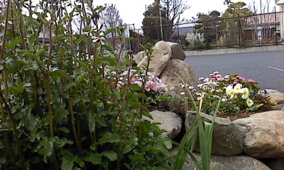 P2012_0416_123314 P2012_0416_123314