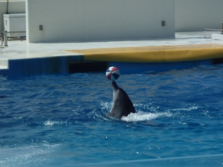 Okinawa 004