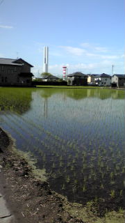 6月4日分ブログ写真 6月4日分ブログ写真