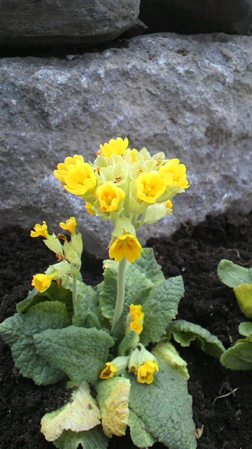 2012022620280000