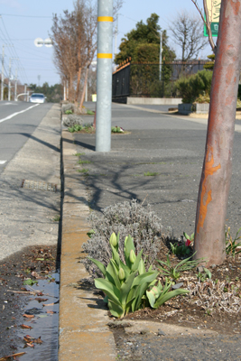 201200404032