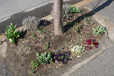201200404033