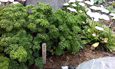 P2012_0416_123303 P2012_0416_123303