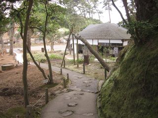 S_IMG_0337