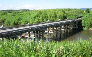 写真右