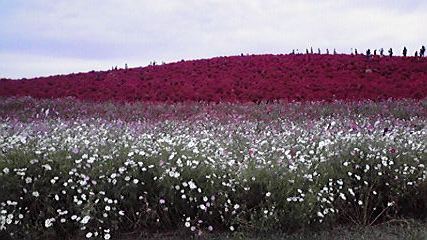 P1000148