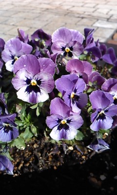 P2013_0321_082218