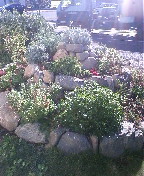 121029_135301.JPG