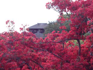 写真 (2) 写真 (2)