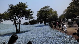 20130505112401