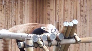 IMG_20130617_122212