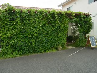 8月