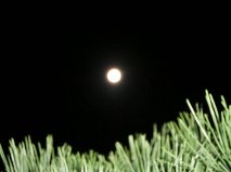 GetAttachment[1]