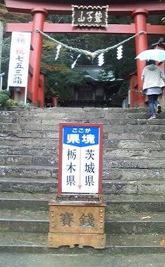 D1000125