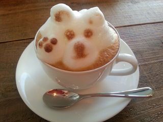 Dobuita dog