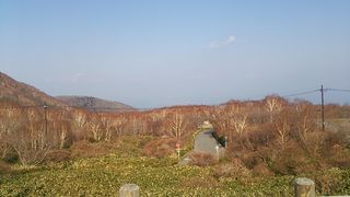 DSC_0256 DSC_0256