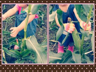 PicsArt_1406861051333 PicsArt_1406861051333