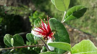 20140627_151628