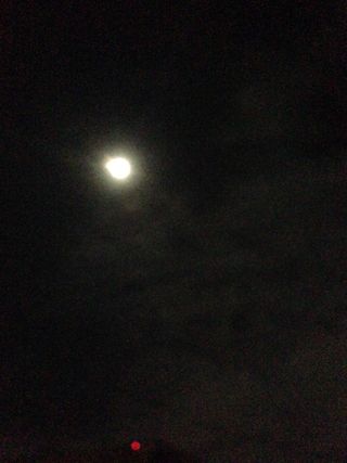 141112_photo