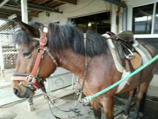 Img20150115_194741