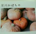 Img20141031_123045