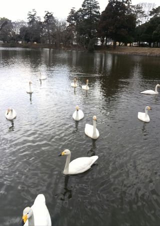 1425444918135